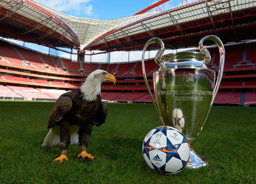 平衡的强队 平衡的强队